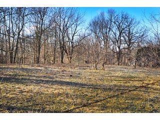 This rural acreage is surrounded by trees with Sugar Creek running through the southern edge of the property with abundant wildlife in the area.  Situated in extreme southern Clinton County, the property is in close proximity to Frankfort and Lebanon both.  Currently being used as cattle pasture; there is the possibility of a home site being built on the property with approval of Clinton County Area Plan and Board of Zoning.  Small cemetery located on the north side, see photos for more details.  

The only tax information will be on the parent parcels and won't be representative of what future taxes will be when this tract is surveyed off to new Buyer. - Clinton County Mini Farm & Potential Home Site